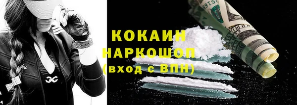 индика Краснослободск