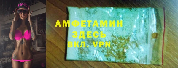 индика Краснослободск