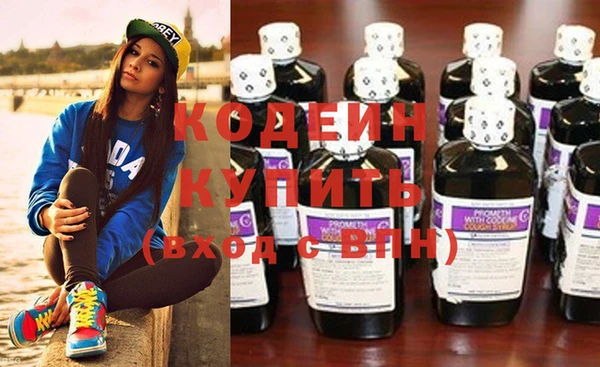 индика Краснослободск