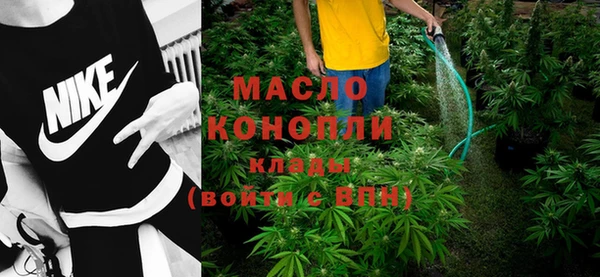 индика Краснослободск