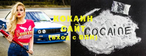 индика Краснослободск
