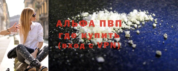 индика Краснослободск