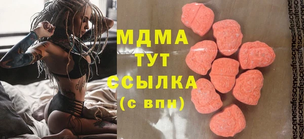 индика Краснослободск