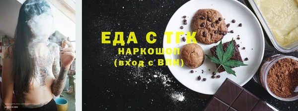индика Краснослободск