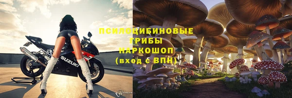 ECSTASY Корсаков