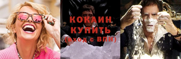 индика Краснослободск