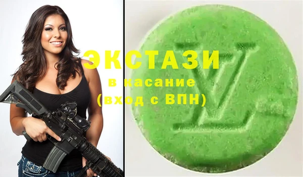 индика Краснослободск
