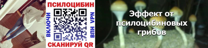 мориарти Telegram  Менделеевск  Галлюциногенные грибы Magic Shrooms 
