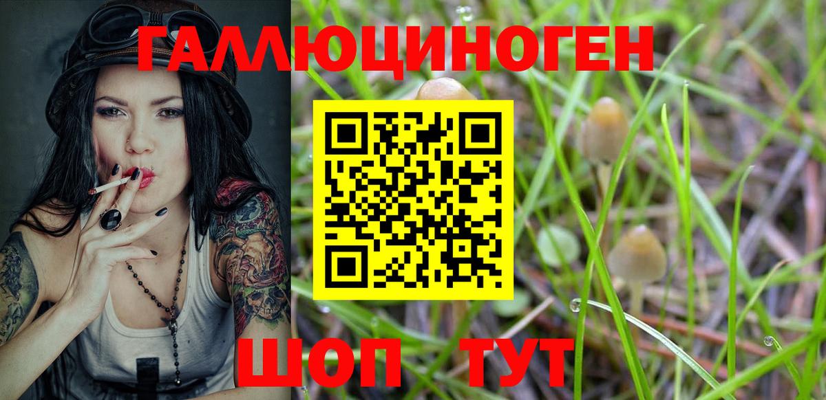 Псилоцибиновые грибы Magic Shrooms  Менделеевск 